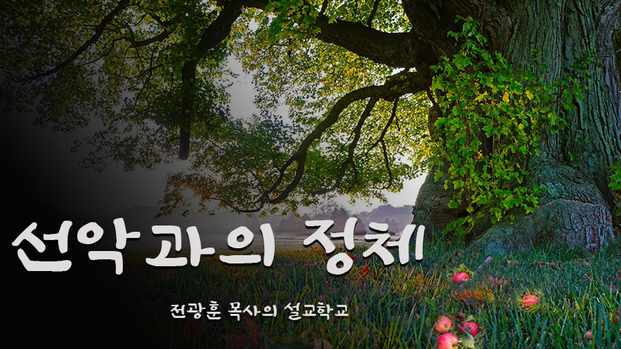 선악과의 정체