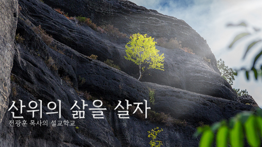 산위의 삶을 살자